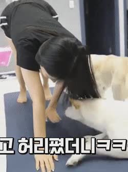 온라인슬롯, 슬롯사이트, 온라인카지노, 슬롯커뮤니티 슬롯왕국 - 개랑 즐거운 한때를 보내는 유튜버