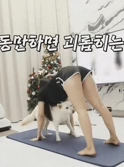 온라인슬롯, 슬롯사이트, 온라인카지노, 슬롯커뮤니티 슬롯왕국 - 개랑 즐거운 한때를 보내는 유튜버