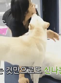 온라인슬롯, 슬롯사이트, 온라인카지노, 슬롯커뮤니티 슬롯왕국 - 개랑 즐거운 한때를 보내는 유튜버