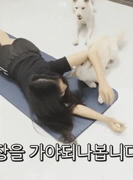 온라인슬롯, 슬롯사이트, 온라인카지노, 슬롯커뮤니티 슬롯왕국 - 개랑 즐거운 한때를 보내는 유튜버