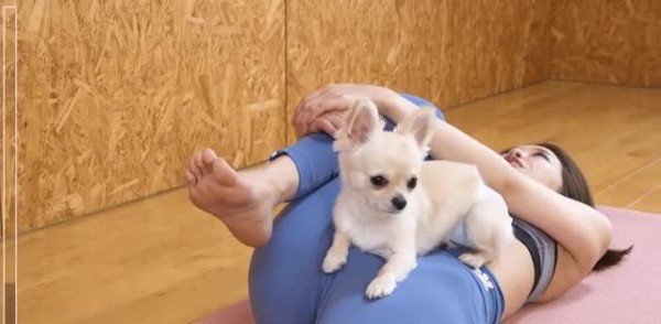 슬롯왕국,슬롯나라,슬롯,슬롯커뮤니티,잭팟,프라그마틱