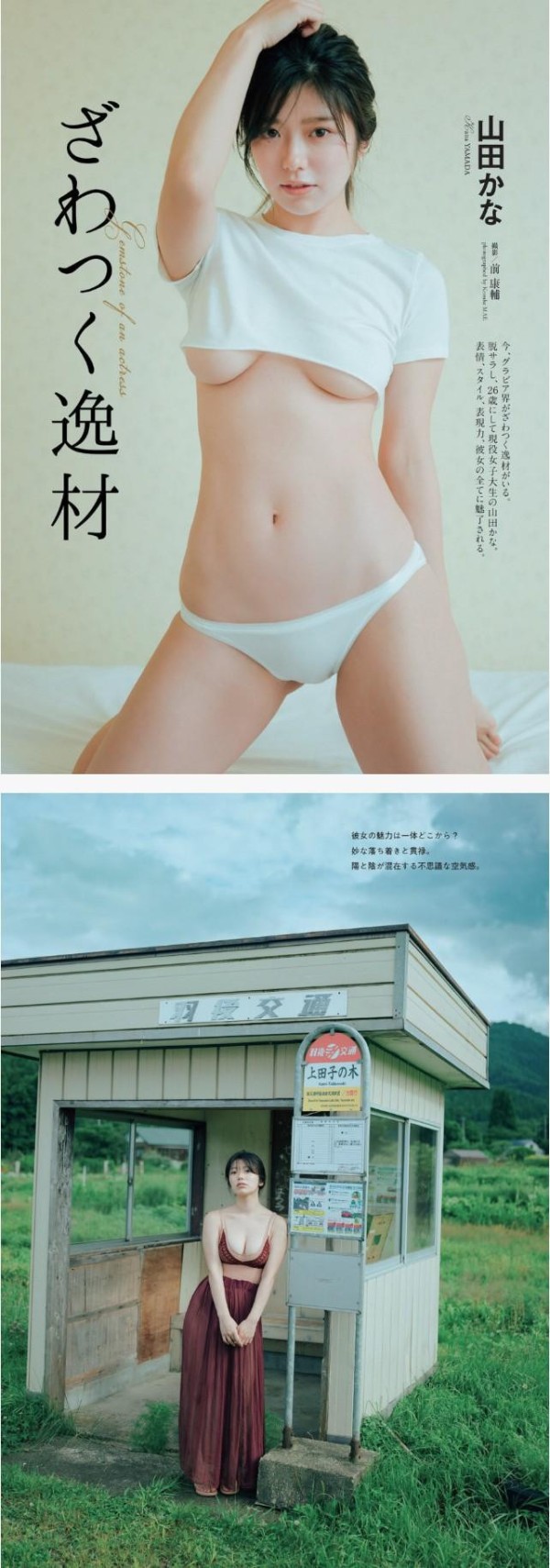 슬롯왕국,슬롯나라,슬롯,슬롯커뮤니티,잭팟,프라그마틱