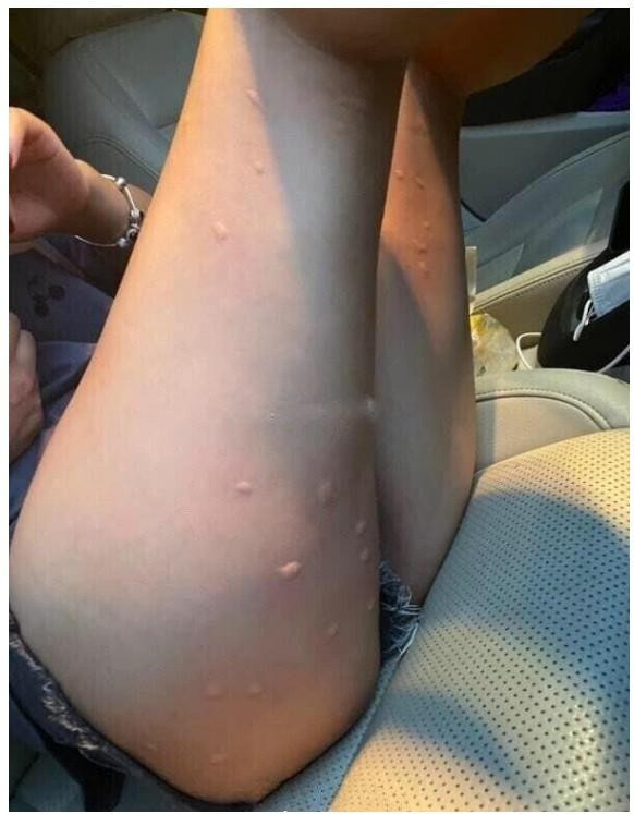 온라인슬롯, 슬롯사이트, 온라인카지노, 슬롯커뮤니티 슬롯왕국 - 성묘 민폐녀.jpg