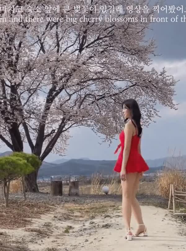 온라인슬롯, 슬롯사이트, 온라인카지노, 슬롯커뮤니티 슬롯왕국 - 야한의상 입고 놀러다니는 유부녀