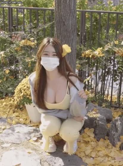 온라인슬롯, 슬롯사이트, 온라인카지노, 슬롯커뮤니티 슬롯왕국 - 계속 쳐다보게되는 은행잎