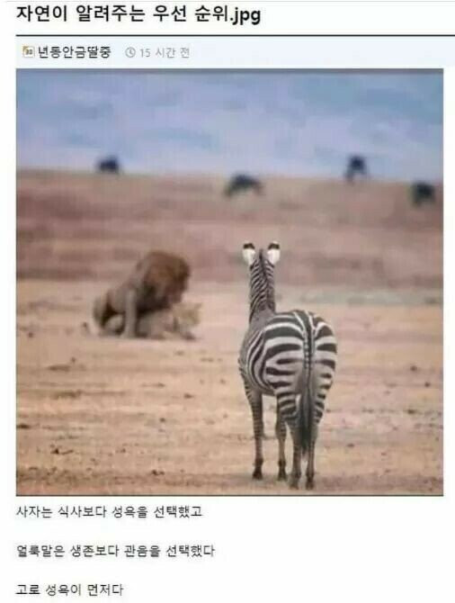 온라인슬롯, 슬롯사이트, 온라인카지노, 슬롯커뮤니티 슬롯왕국 - 3대 욕구 중 성욕이 최고인 이유