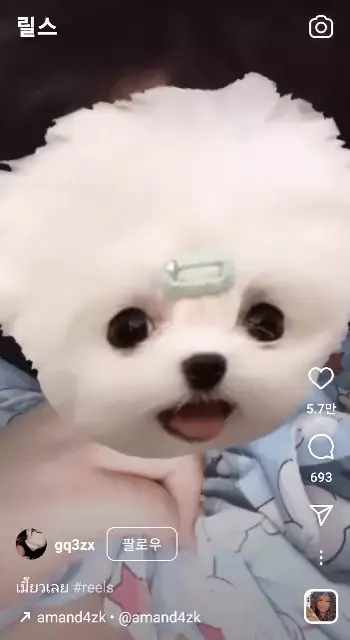 온라인슬롯, 슬롯사이트, 온라인카지노, 슬롯커뮤니티 슬롯왕국 - 태국에서 유행한다는 챌린지