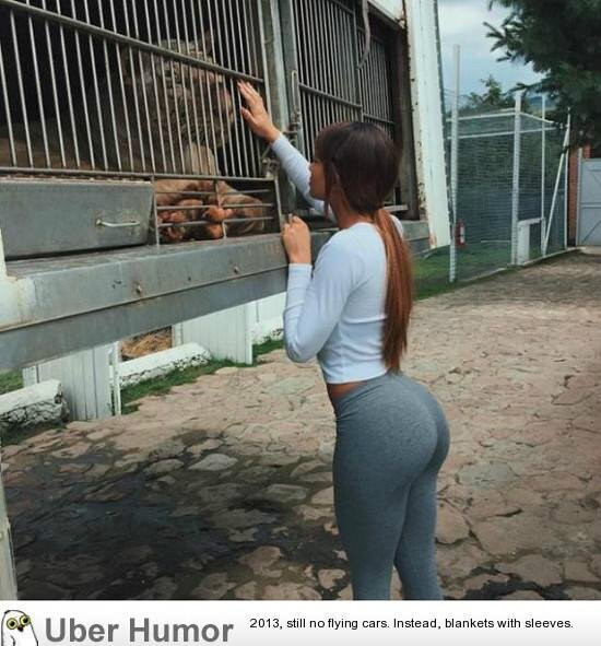 온라인슬롯, 슬롯사이트, 온라인카지노, 슬롯커뮤니티 슬롯왕국 - 이런 챌린지는 한국에서 유행 언제하냐