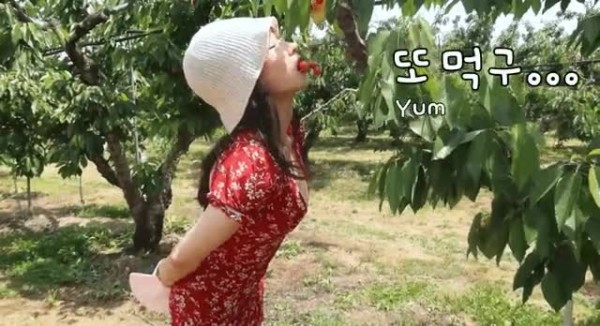 슬롯왕국,슬롯나라,슬롯,슬롯커뮤니티,잭팟,프라그마틱