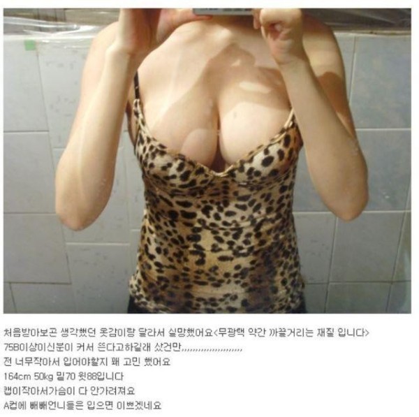 슬롯왕국,슬롯나라,슬롯,슬롯커뮤니티,잭팟,프라그마틱