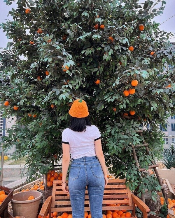 슬롯왕국,슬롯나라,슬롯,슬롯커뮤니티,잭팟,프라그마틱