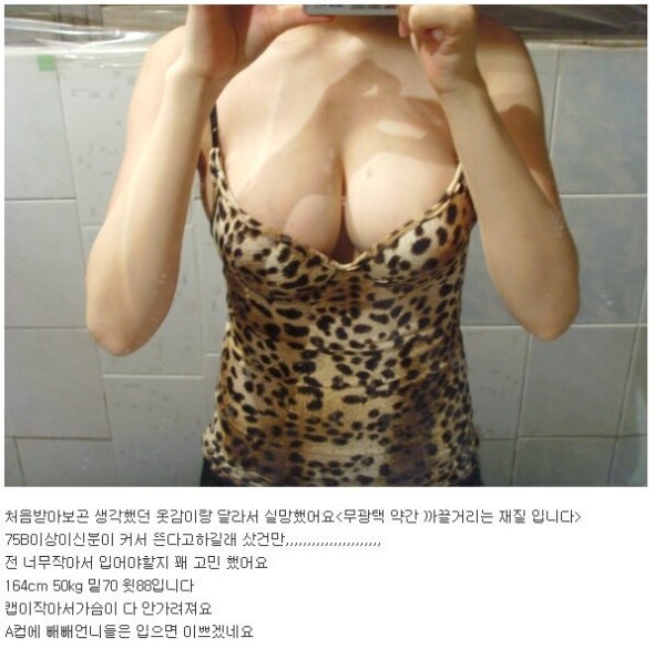 슬롯왕국,슬롯나라,슬롯,슬롯커뮤니티,잭팟,프라그마틱