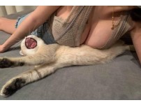 온라인슬롯, 슬롯사이트, 온라인카지노, 슬롯커뮤니티 슬롯왕국 - 이런것도 고양이 학대인가요?  