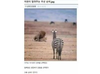 온라인슬롯, 슬롯사이트, 온라인카지노, 슬롯커뮤니티 슬롯왕국 - 3대 욕구 중 성욕이 최고인 이유   