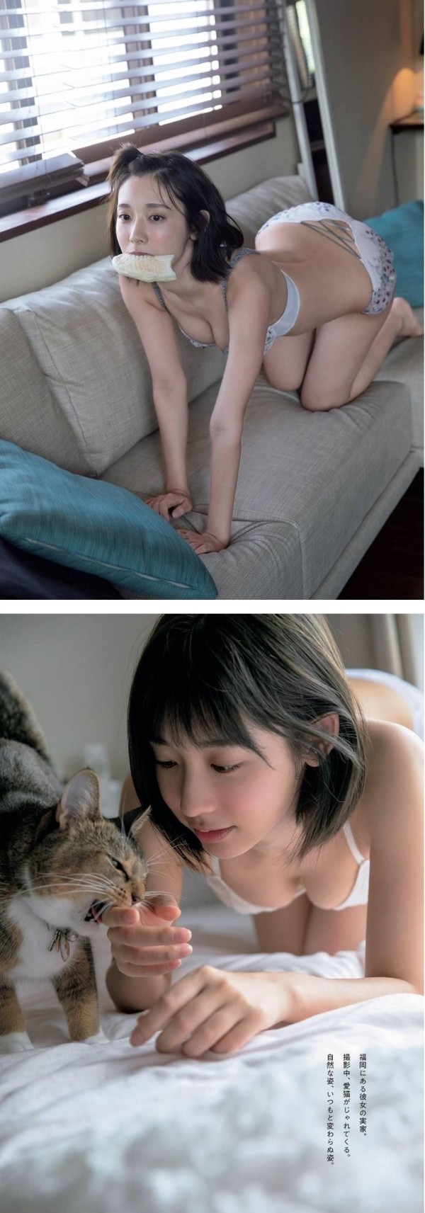 슬롯왕국,슬롯나라,슬롯,슬롯커뮤니티,잭팟,프라그마틱
