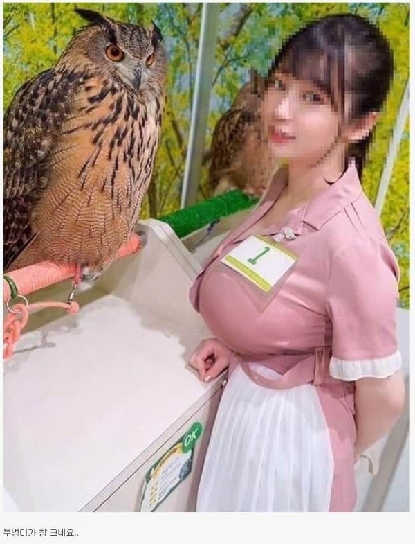 슬롯왕국,슬롯나라,슬롯,슬롯커뮤니티,잭팟,프라그마틱