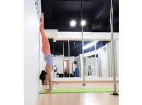 온라인슬롯, 슬롯사이트, 온라인카지노, 슬롯커뮤니티 슬롯왕국 - 폴댄스 누나의 코어강화 운동  