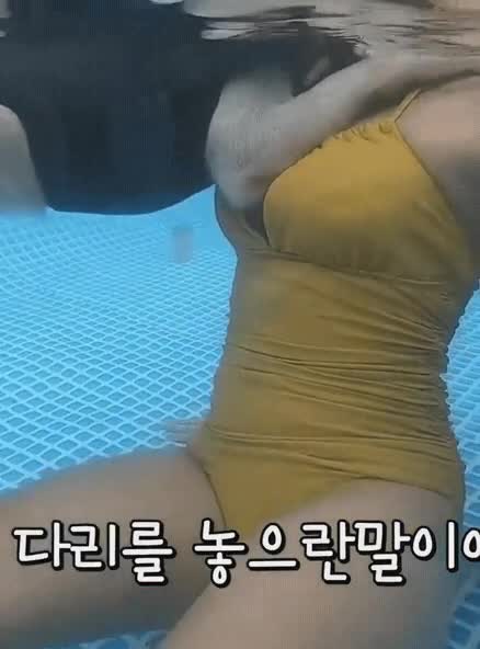 온라인슬롯, 슬롯사이트, 온라인카지노, 슬롯커뮤니티 슬롯왕국 - 진돗개 수영시키는데 다른데로 눈이가네