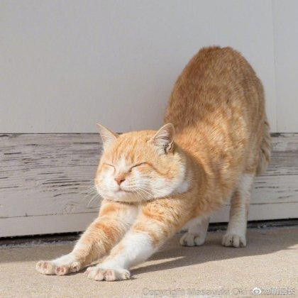 온라인슬롯, 슬롯사이트, 온라인카지노, 슬롯커뮤니티 슬롯왕국 - 요즘 20대 여자 ㅅㅅ 문화.gif[1]