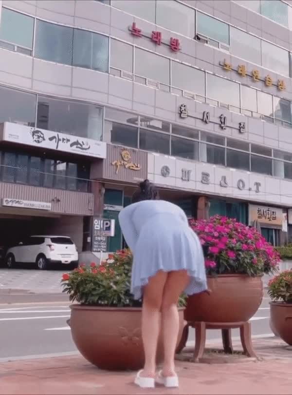 온라인슬롯, 슬롯사이트, 온라인카지노, 슬롯커뮤니티 슬롯왕국 - 길거리 시선강탈 신도시 미시룩
