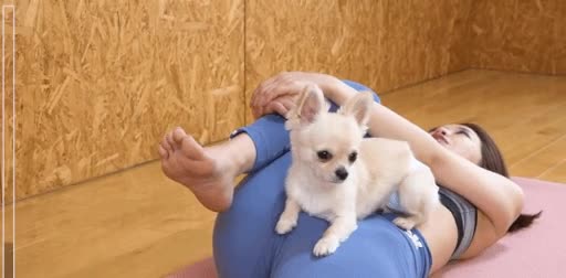 온라인슬롯, 슬롯사이트, 온라인카지노, 슬롯커뮤니티 슬롯왕국 - 요가하는 누나 괴롭히는 강아지