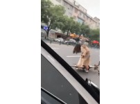 온라인슬롯, 슬롯사이트, 온라인카지노, 슬롯커뮤니티 슬롯왕국 - 치마입고 자전거 타는게 위험한 이유   