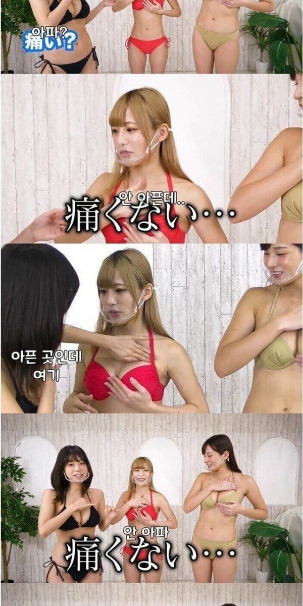 슬롯왕국,슬롯나라,슬롯,슬롯커뮤니티,잭팟,프라그마틱