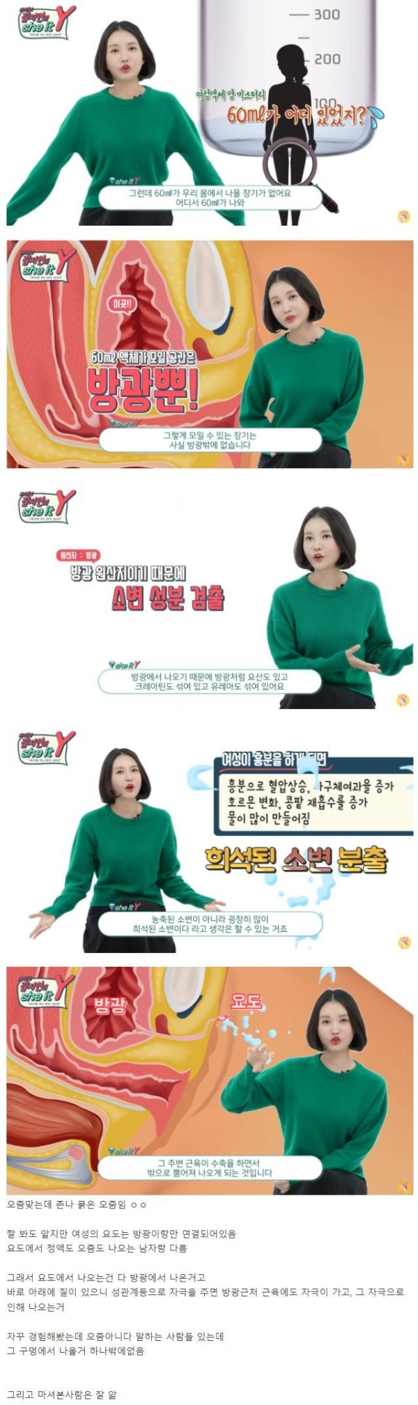 슬롯왕국,슬롯나라,슬롯,슬롯커뮤니티,잭팟,프라그마틱