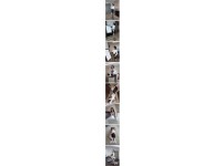 온라인슬롯, 슬롯사이트, 온라인카지노, 슬롯커뮤니티 슬롯왕국 - 크 미드 힙 다리 까지 완벽   
