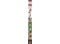 온라인슬롯, 슬롯사이트, 온라인카지노, 슬롯커뮤니티 슬롯왕국 - 요즘 DJ는 왜이렇게 예쁨??   