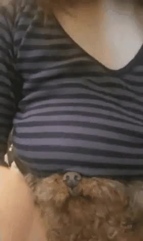 온라인슬롯, 슬롯사이트, 온라인카지노, 슬롯커뮤니티 슬롯왕국 - 가슴으로 강아지 괴롭히는 누나