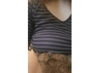 온라인슬롯, 슬롯사이트, 온라인카지노, 슬롯커뮤니티 슬롯왕국 - 가슴으로 강아지 괴롭히는 누나  