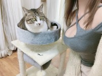 온라인슬롯, 슬롯사이트, 온라인카지노, 슬롯커뮤니티 슬롯왕국 - 고양이를 좋아하는 씹덕 처자  