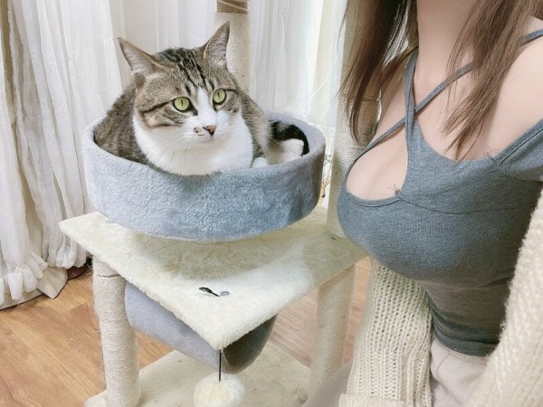 슬롯왕국,슬롯나라,슬롯,슬롯커뮤니티,잭팟,프라그마틱