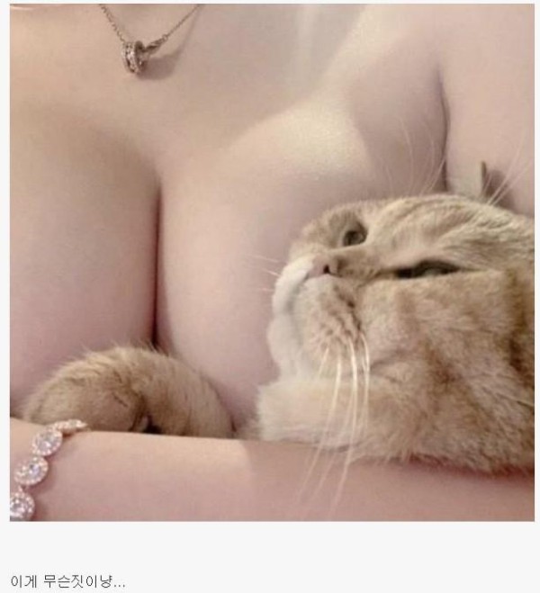슬롯왕국,슬롯나라,슬롯,슬롯커뮤니티,잭팟,프라그마틱