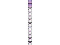 온라인슬롯, 슬롯사이트, 온라인카지노, 슬롯커뮤니티 슬롯왕국 - 커플들의 ㅅㅅ 판타지 ㄷㄷㄷ[1]  