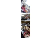 온라인슬롯, 슬롯사이트, 온라인카지노, 슬롯커뮤니티 슬롯왕국 - 시베리아 횡단열차를 타면 흔히 볼 수 있는 풍경  