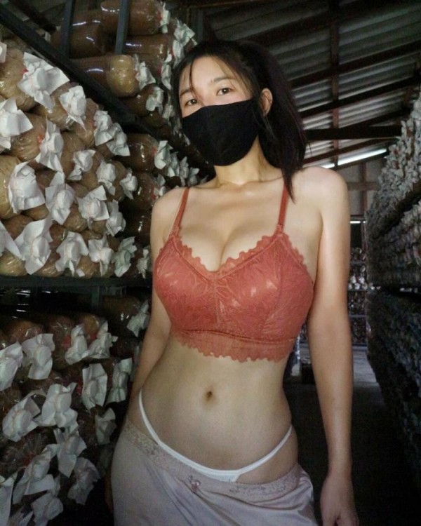 슬롯왕국,슬롯나라,슬롯,슬롯커뮤니티,잭팟,프라그마틱