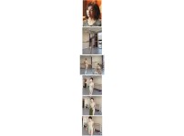 검증된 온라인슬롯, 슬롯먹튀업체 보증, 슬롯커뮤니티, 슬롯왕국- 발레하는 재벌집 형수님 박지현   