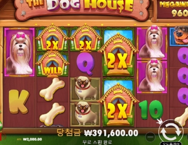 슬롯왕국,슬롯나라,슬롯,슬롯커뮤니티,잭팟,프라그마틱
