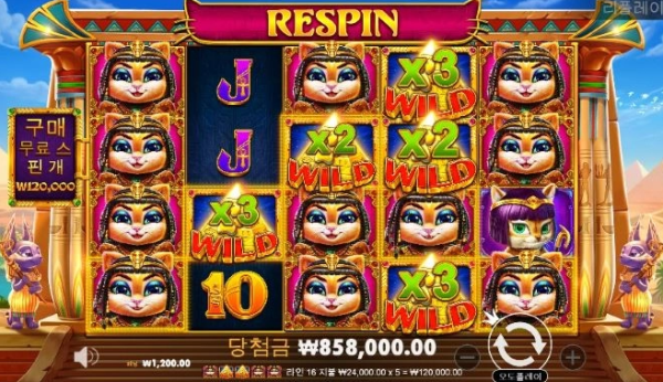 슬롯왕국,슬롯나라,슬롯,슬롯커뮤니티,잭팟,프라그마틱