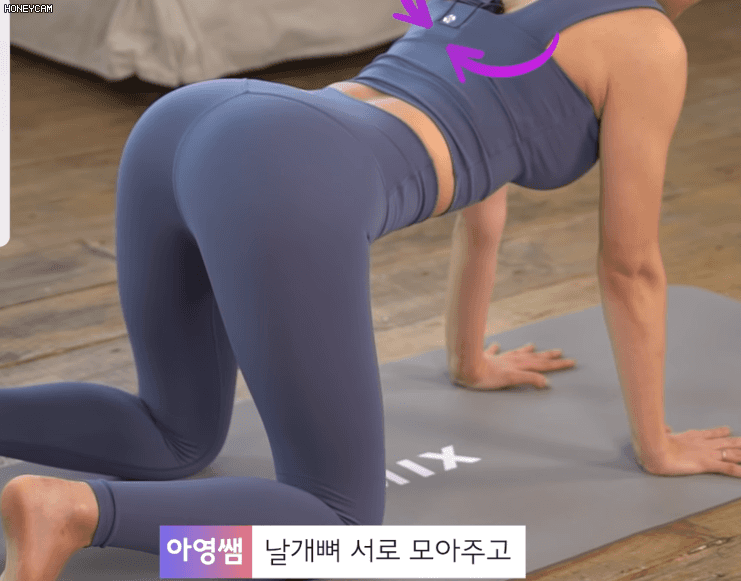 슬롯왕국,슬롯나라,슬롯,슬롯커뮤니티,잭팟,프라그마틱