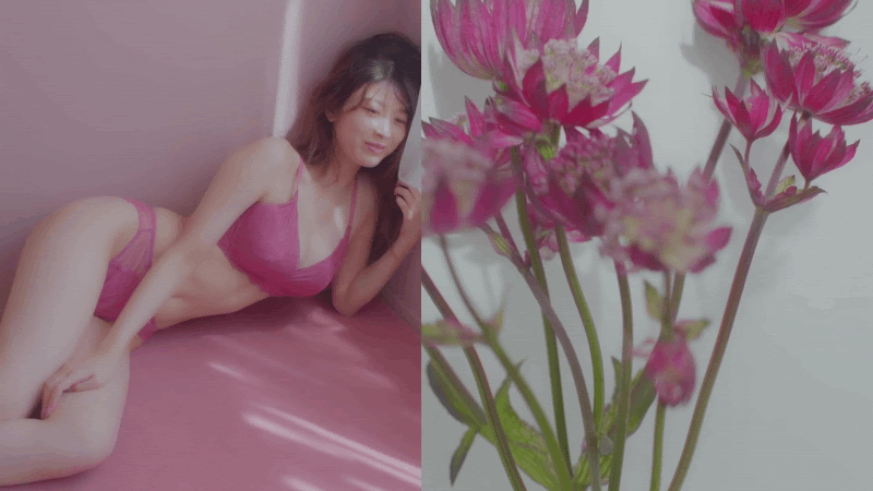 슬롯왕국,슬롯나라,슬롯,슬롯커뮤니티,잭팟,프라그마틱