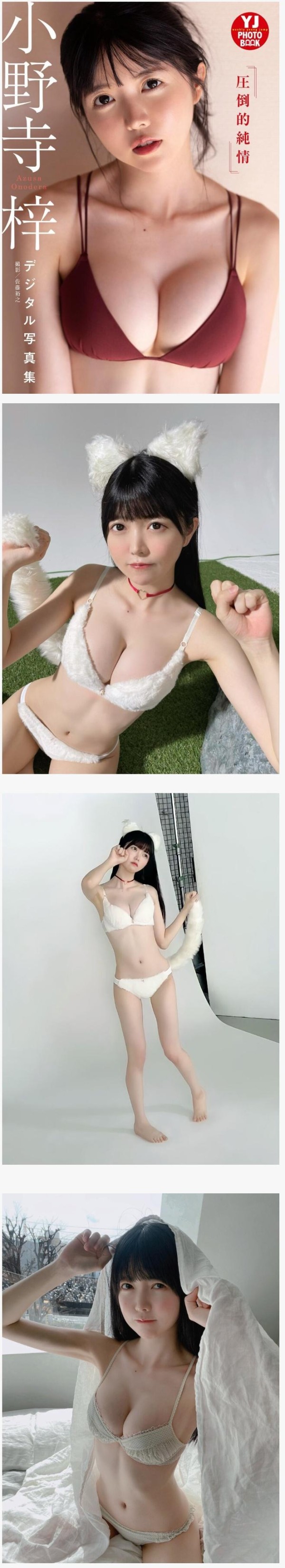 슬롯왕국,슬롯나라,슬롯,슬롯커뮤니티,잭팟,프라그마틱