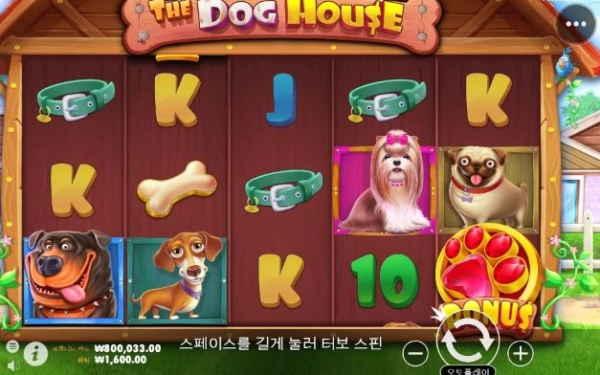 슬롯왕국,슬롯나라,슬롯,슬롯커뮤니티,잭팟,프라그마틱
