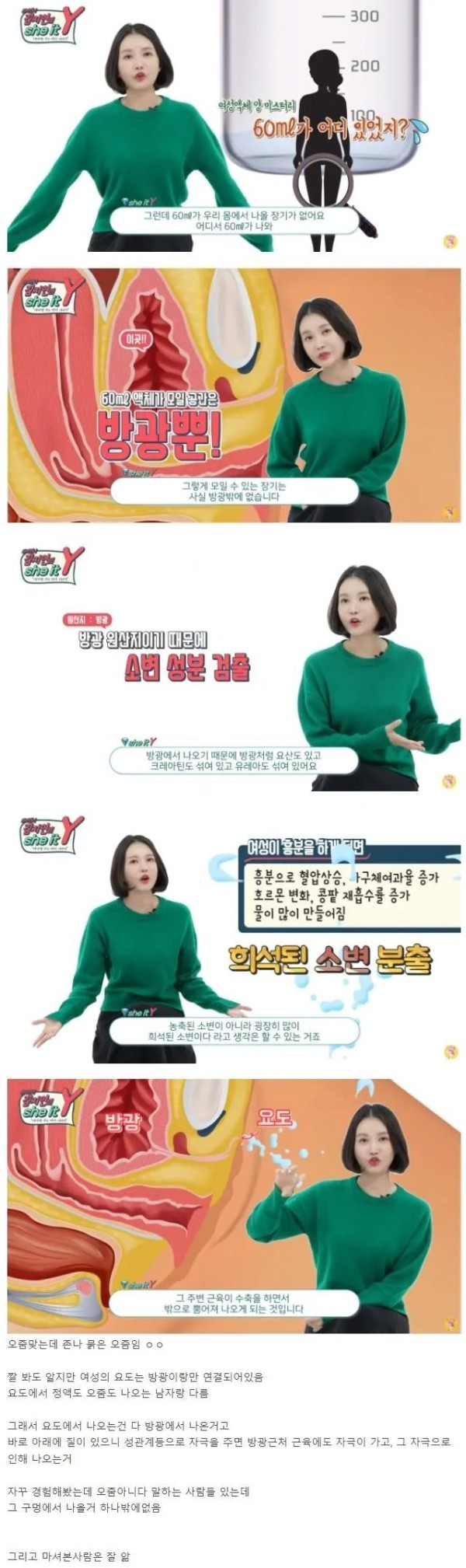 슬롯왕국,슬롯나라,슬롯,슬롯커뮤니티,잭팟,프라그마틱