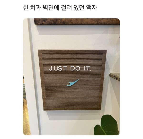 슬롯왕국,슬롯나라,슬롯,슬롯커뮤니티,잭팟,프라그마틱