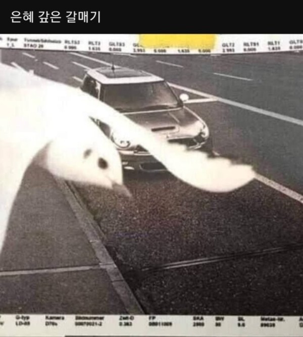 슬롯왕국,슬롯나라,슬롯,슬롯커뮤니티,잭팟,프라그마틱