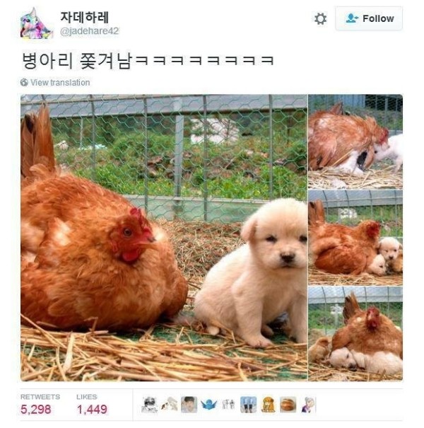 슬롯왕국,슬롯나라,슬롯,슬롯커뮤니티,잭팟,프라그마틱