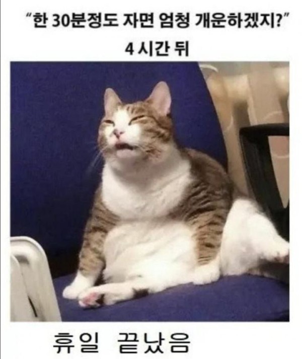 슬롯왕국,슬롯나라,슬롯,슬롯커뮤니티,잭팟,프라그마틱